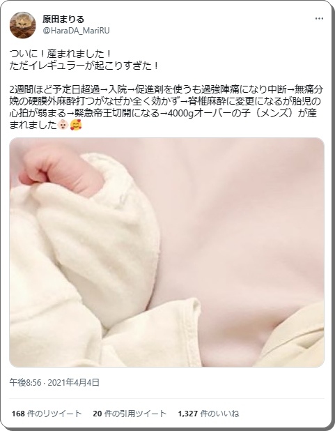 出産報告