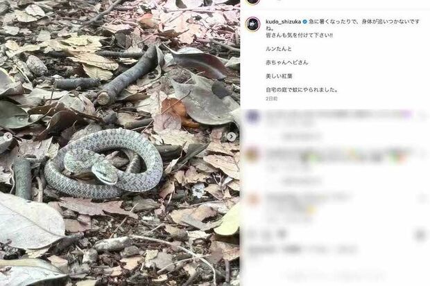 工藤静香と木村拓哉